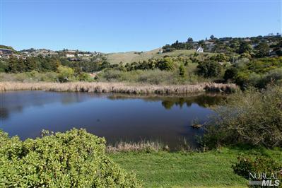 13 Marsh Road Tiburon, CA 94920 - Photo 1 of 9 an aerial view of lake residential house with outdoor space and trees around
