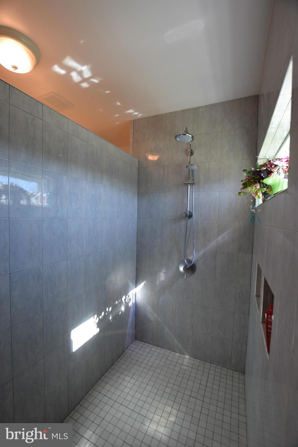 5010 Ten Oaks Road Dayton, MD 21036 - Photo 16 of 29 Spa Shower
