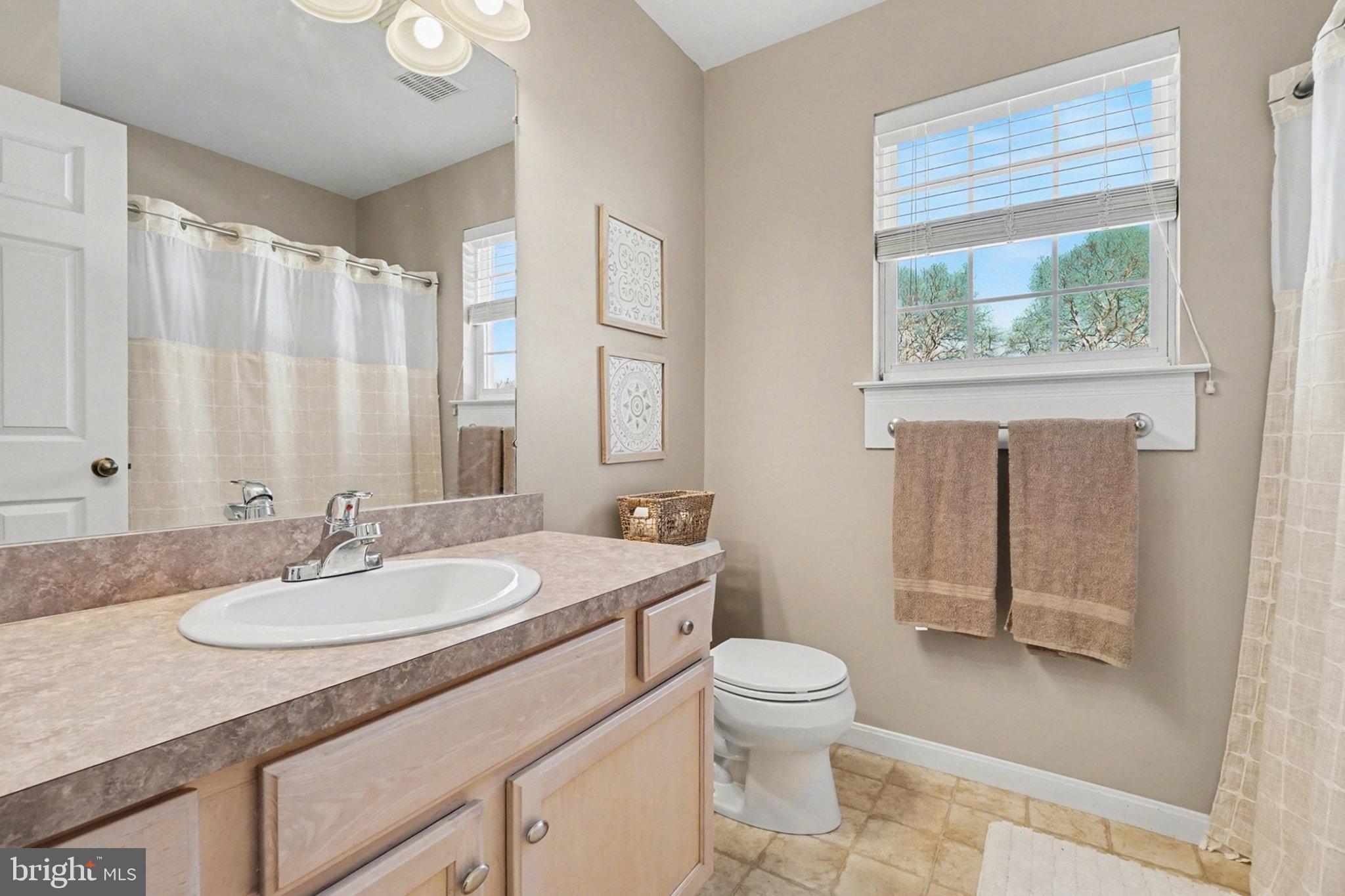 44 Oak Avenue Halifax, PA 17032 - Photo 24 of 33 a bathroom with a sink a toilet and shower