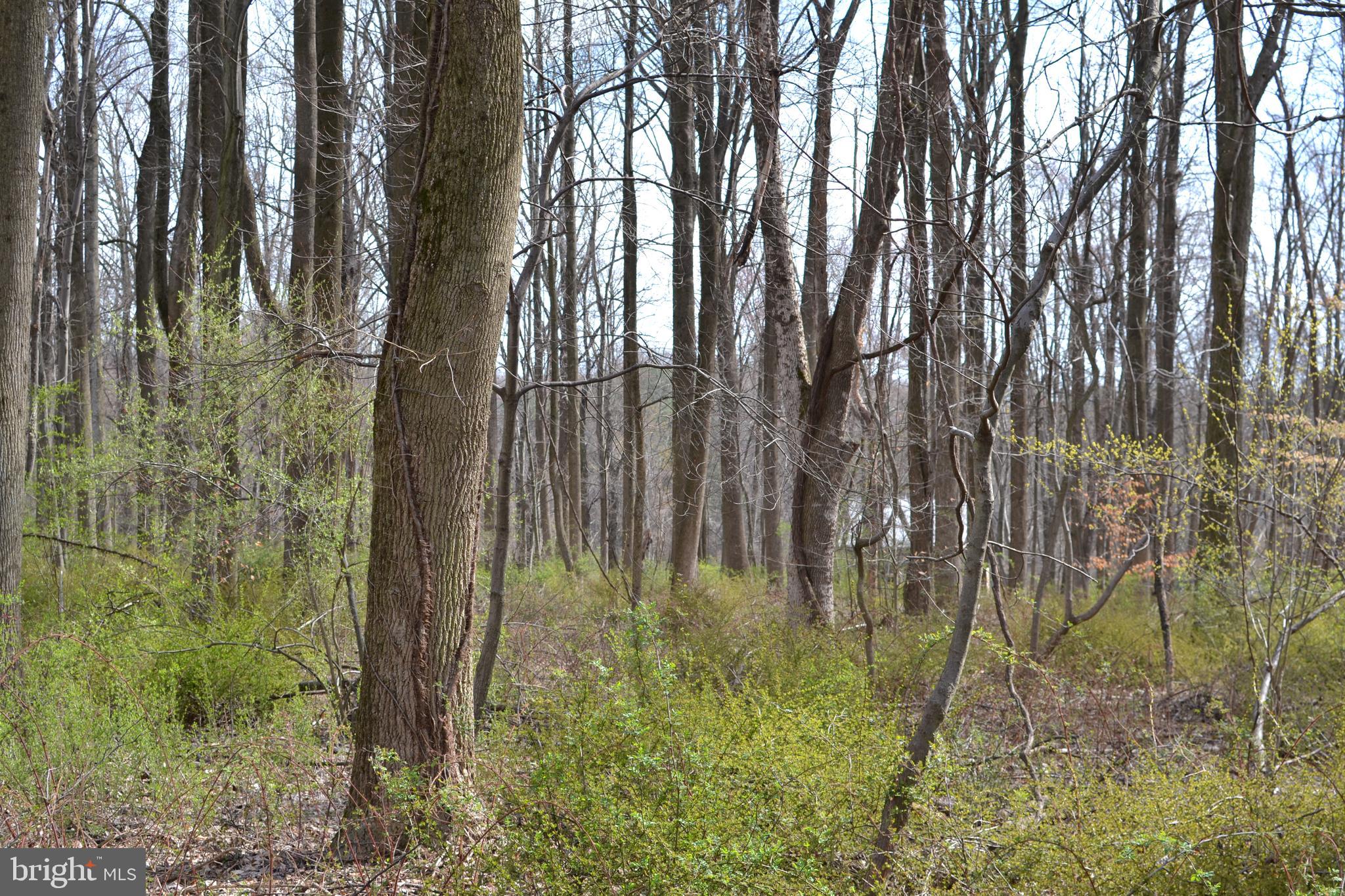 13701 Harcum Road Phoenix, MD 21131 - Photo 13 of 22
