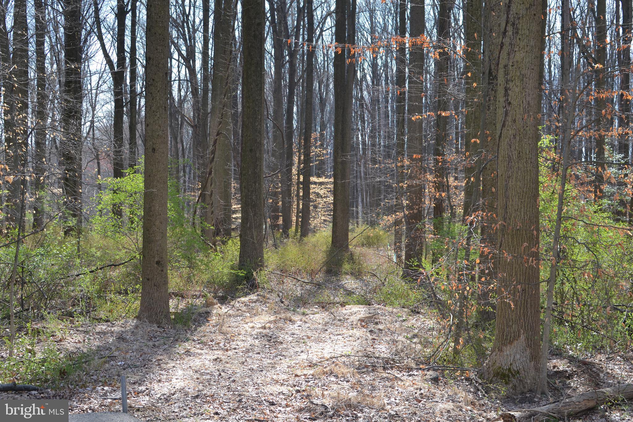 13701 Harcum Road Phoenix, MD 21131 - Photo 18 of 22