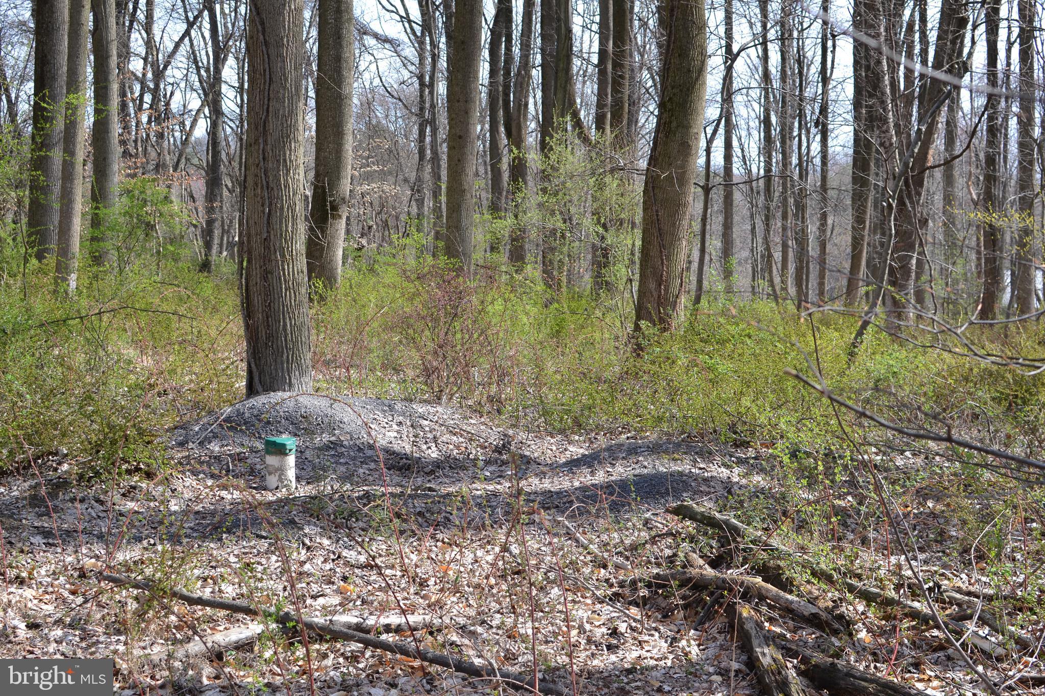 13701 Harcum Road Phoenix, MD 21131 - Photo 20 of 22 Well