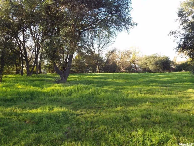 a view of a grassy field with trees