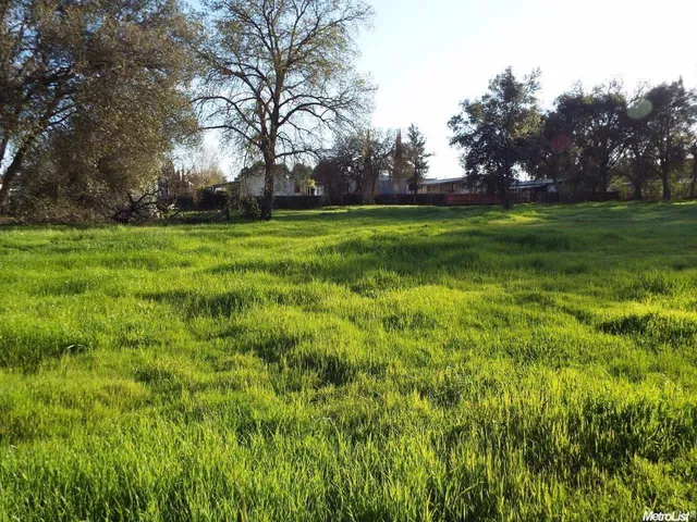 a view of yard with trees