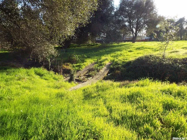 a view of yard with green space