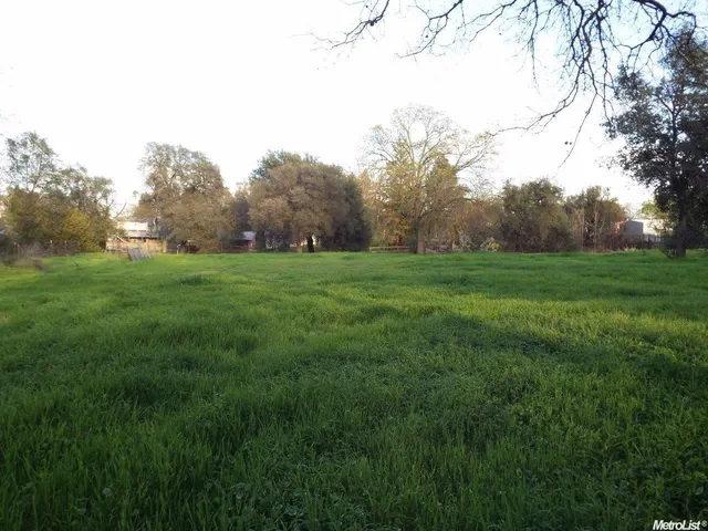 a view of grassy field with trees in the background