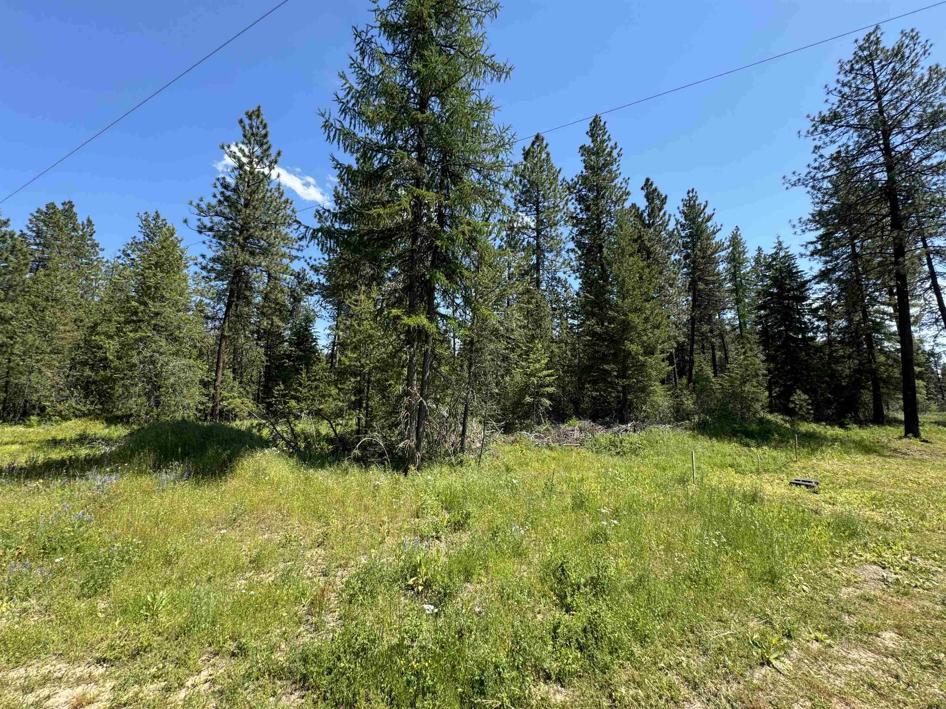 530 North A Street, Unit LOT #4 Springdale, WA 99173 - Photo 12 of 12