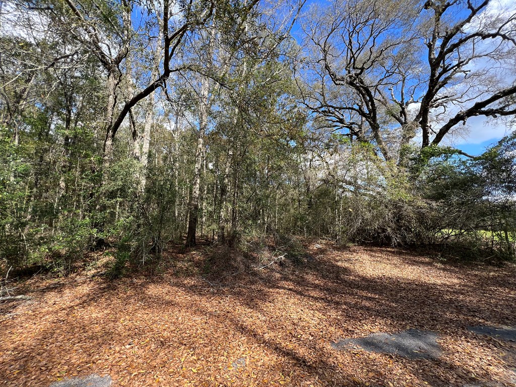 0 5th Avenue Geneva, AL 36340 - Photo 5 of 6
