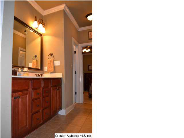 2805 Aster Lake Road Helena, AL 35022 - Photo 14 of 29