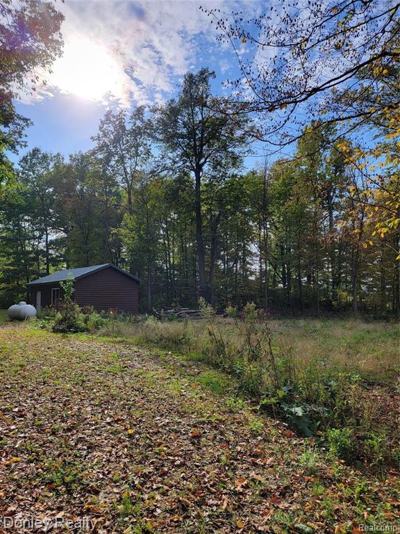 5752 Marlette Road Marlette, MI 48453 - Photo 46 of 52 Gallery Image 46