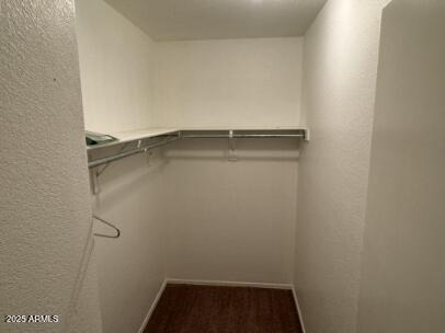 3513 South Bowman Road Apache Junction, AZ 85119 - Photo 9 of 14 a close view of closet