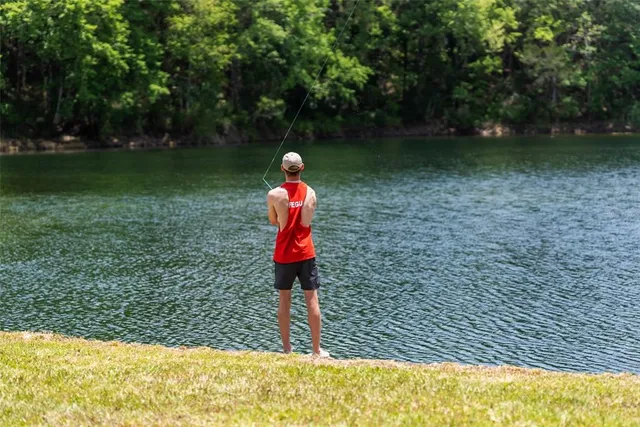 a view of a lake in between two of trees
