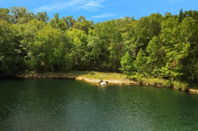 a view of a yard with a plant