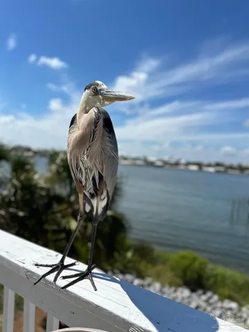 a view of a lake and front of a house