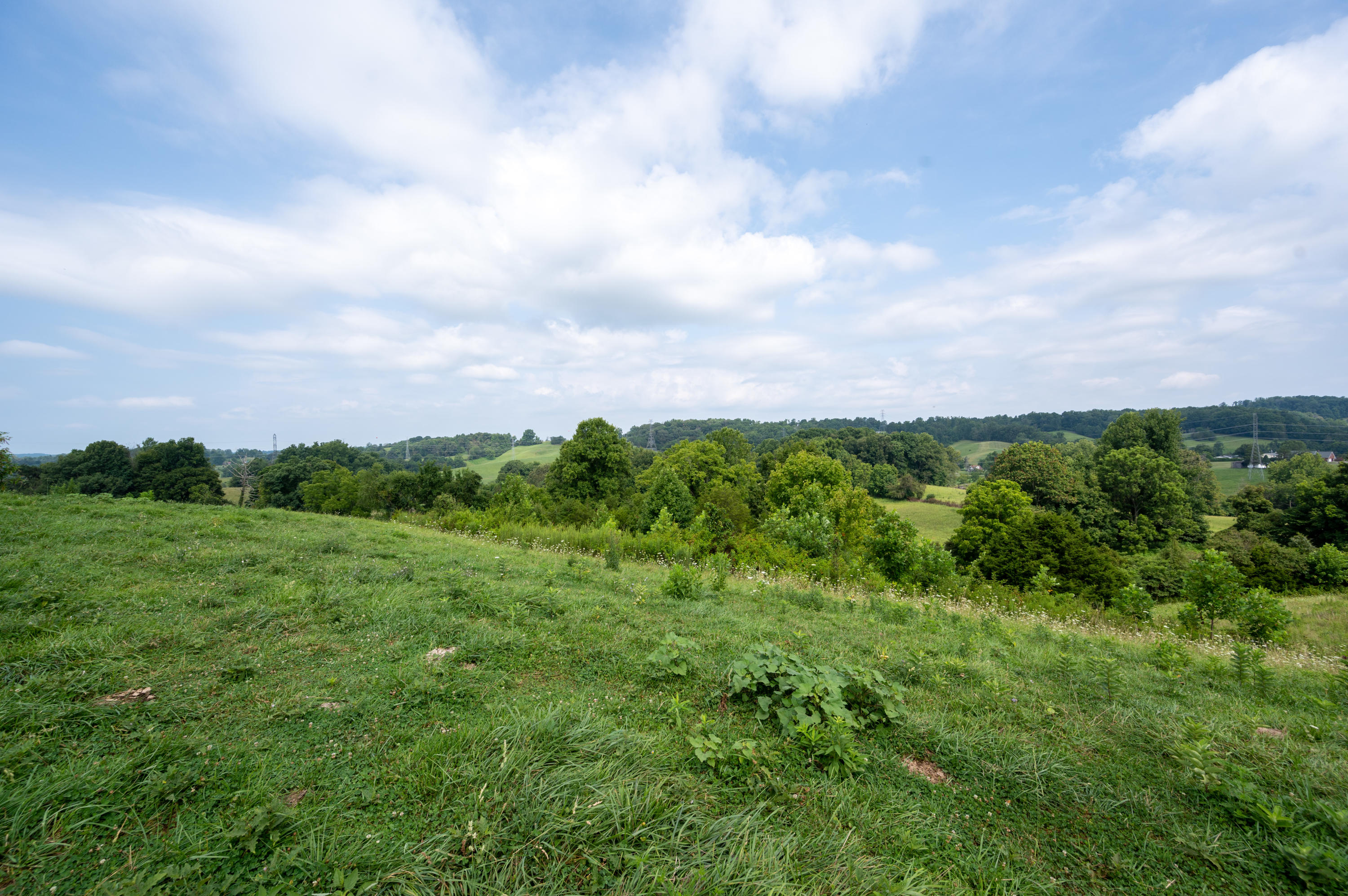 0 Cherokee Road Jonesborough, TN 37659 - Photo 3 of 23 Cherkee-4