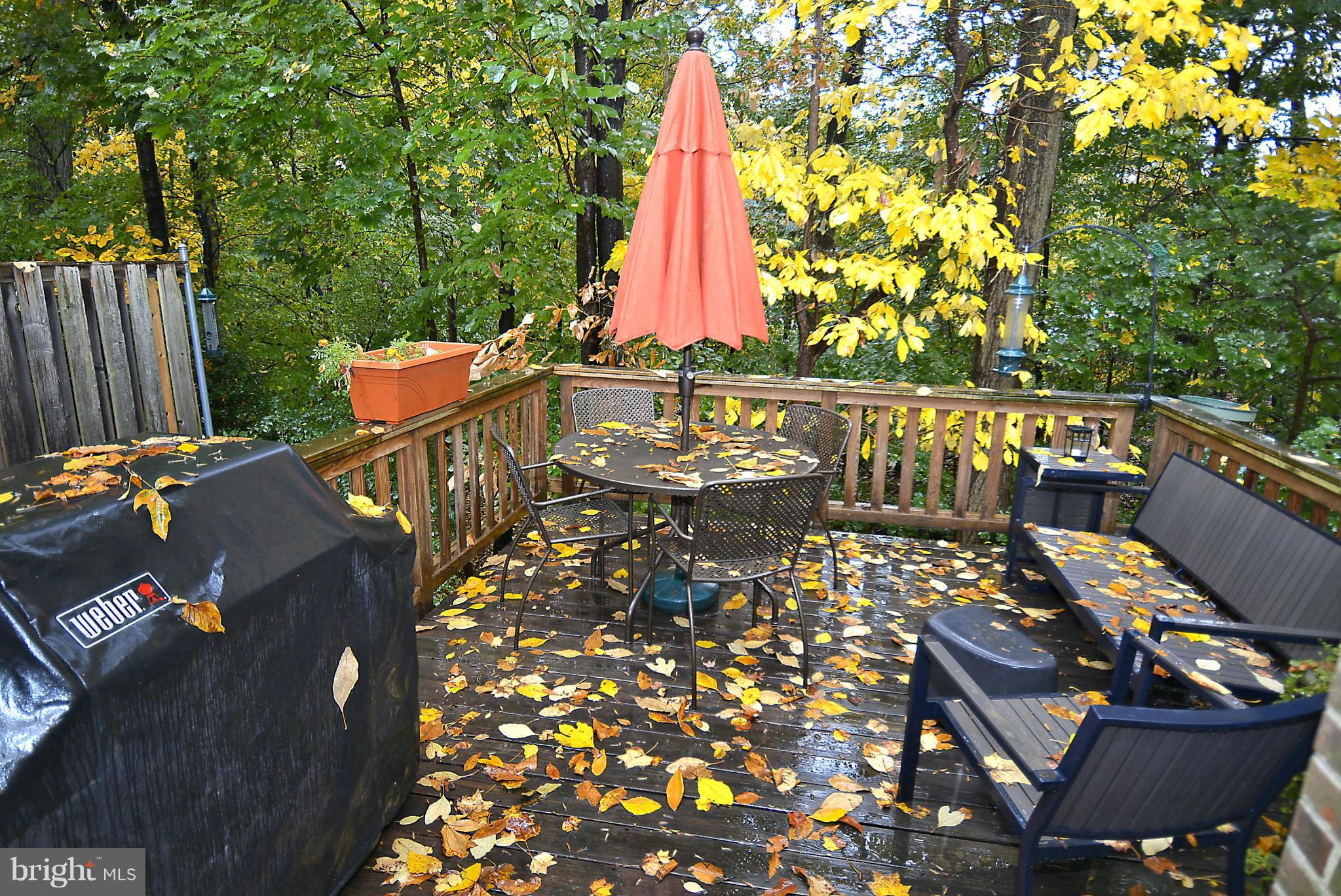 2052 Derby Ridge Lane Silver Spring, MD 20910 - Photo 15 of 26 Deck off main level overlooking Rock Creek Park