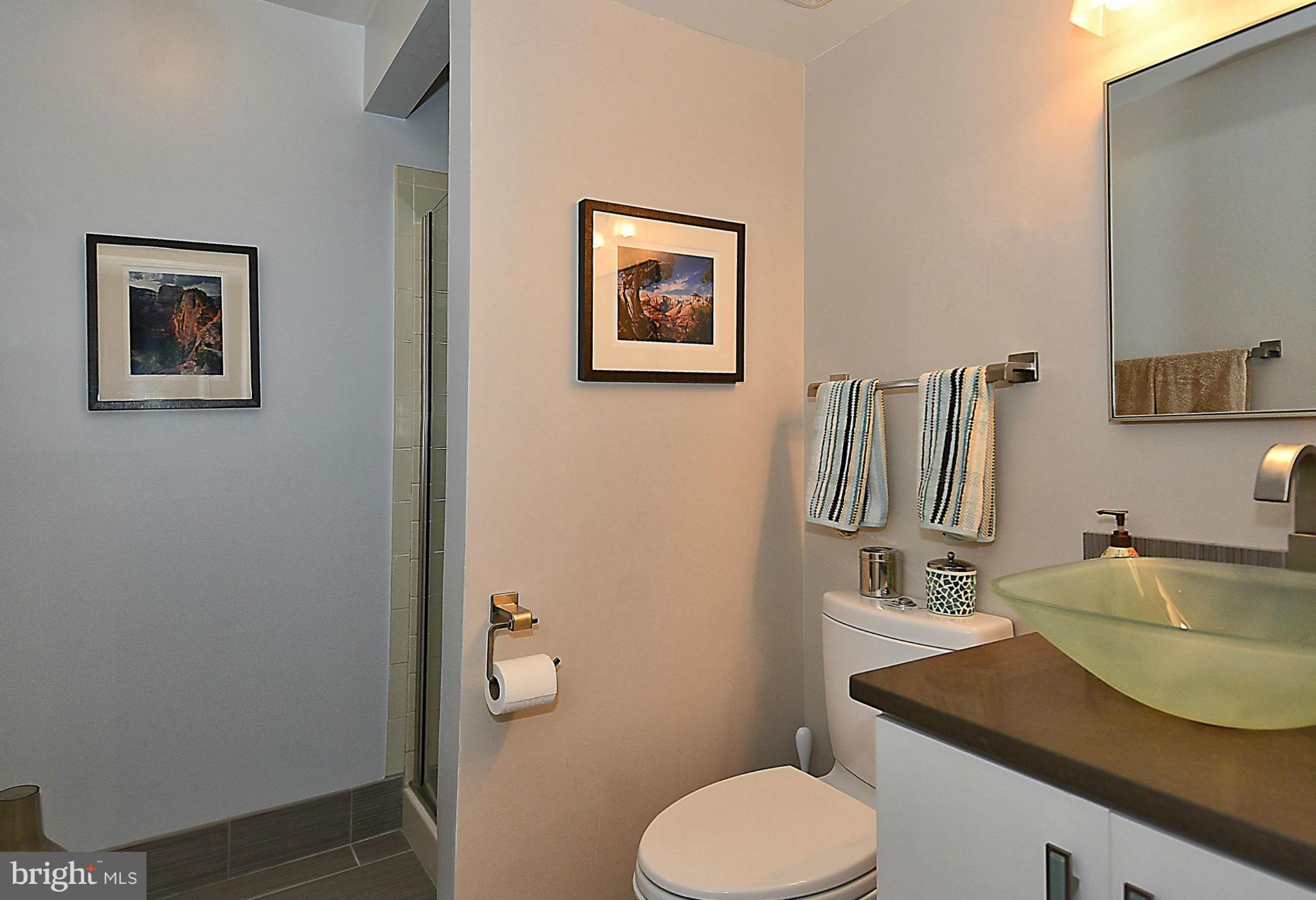 2052 Derby Ridge Lane Silver Spring, MD 20910 - Photo 25 of 26 Bath #3