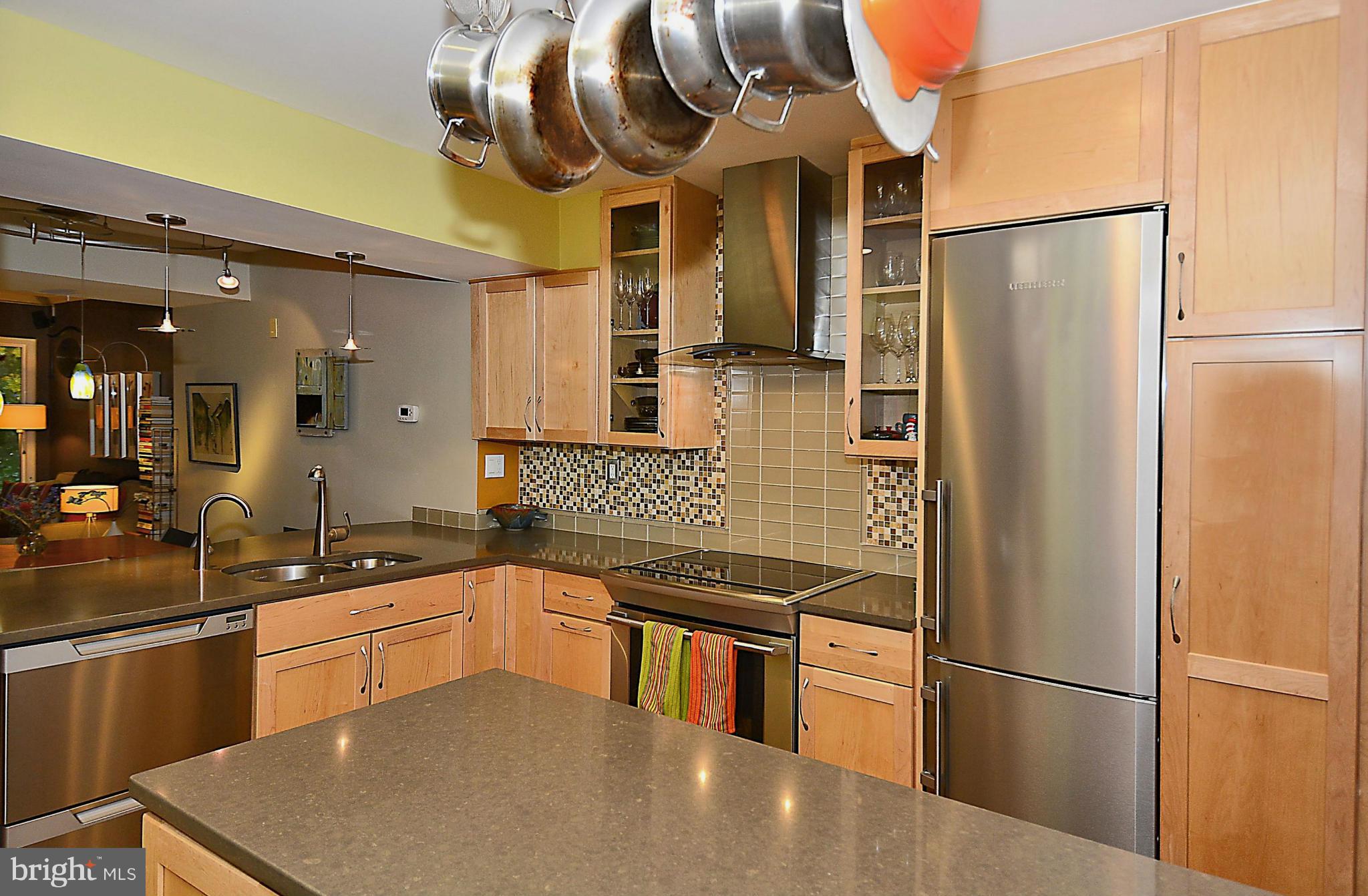 2052 Derby Ridge Lane Silver Spring, MD 20910 - Photo 4 of 26 Kitchen