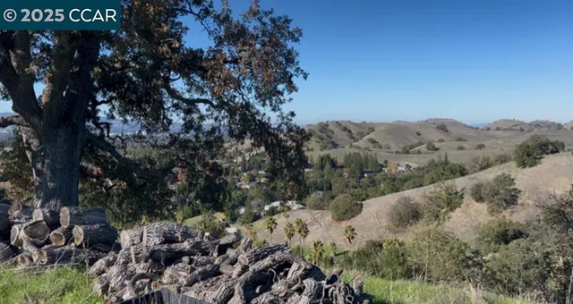 a view of a dry yard with lots of bushes