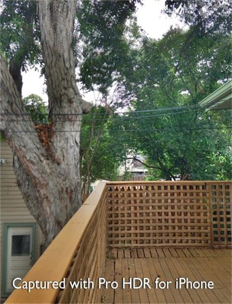1538 Welch Street, Unit 1/2 Houston, TX 77006 - Photo 7 of 18 a view of outdoor space with a tree