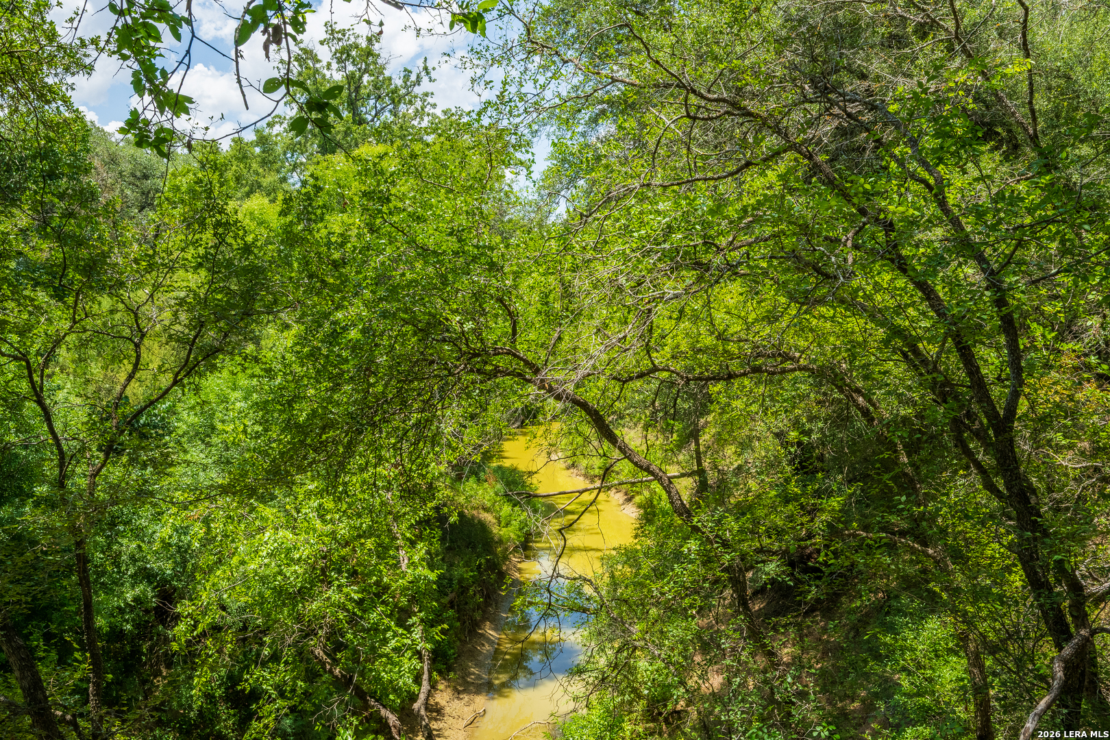 994 Marburger Road Crystal City, TX 78839 - Photo 8 of 52 Gallery Image 8