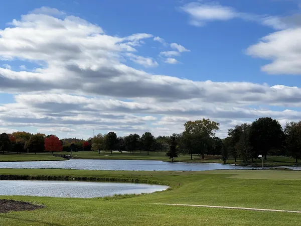 a view of a big yard with a large trees