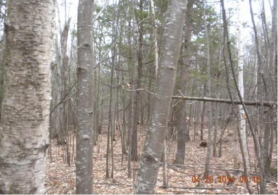 1037 Cape Road Limington, ME 04049 - Photo 15 of 21 Photo