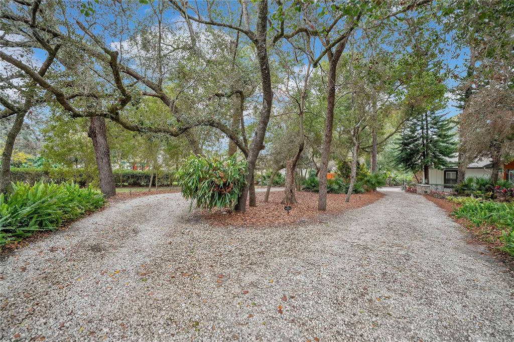 9488 Shortleaf Court Apopka, FL 32703 - Photo 3 of 60