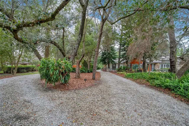 a view of yard with green space