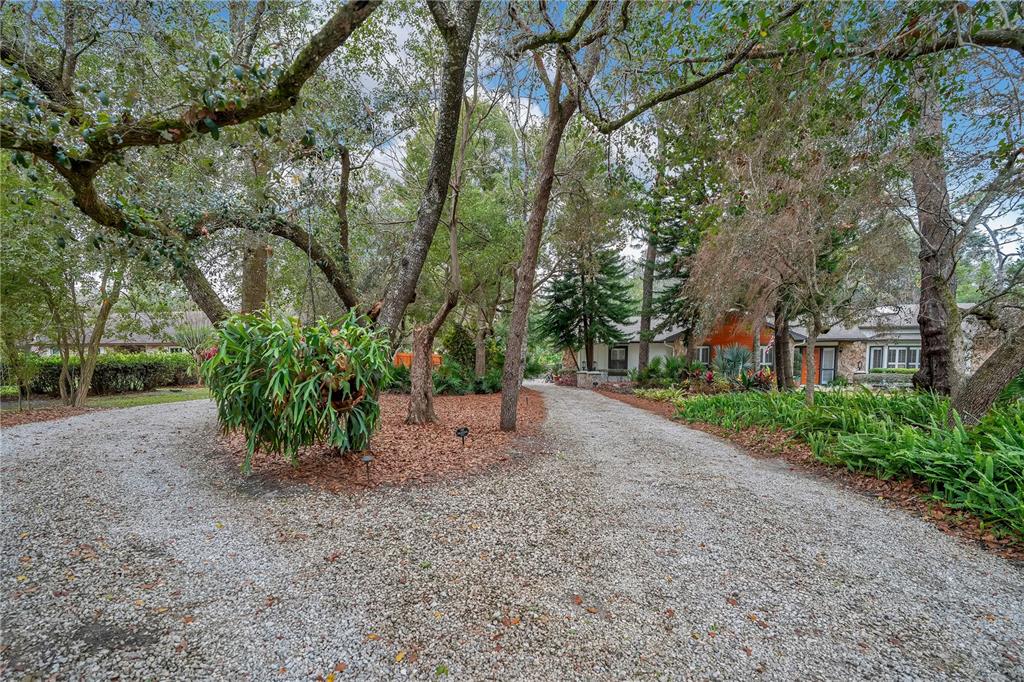 9488 Shortleaf Court Apopka, FL 32703 - Photo 4 of 60 a view of a field with plants and trees