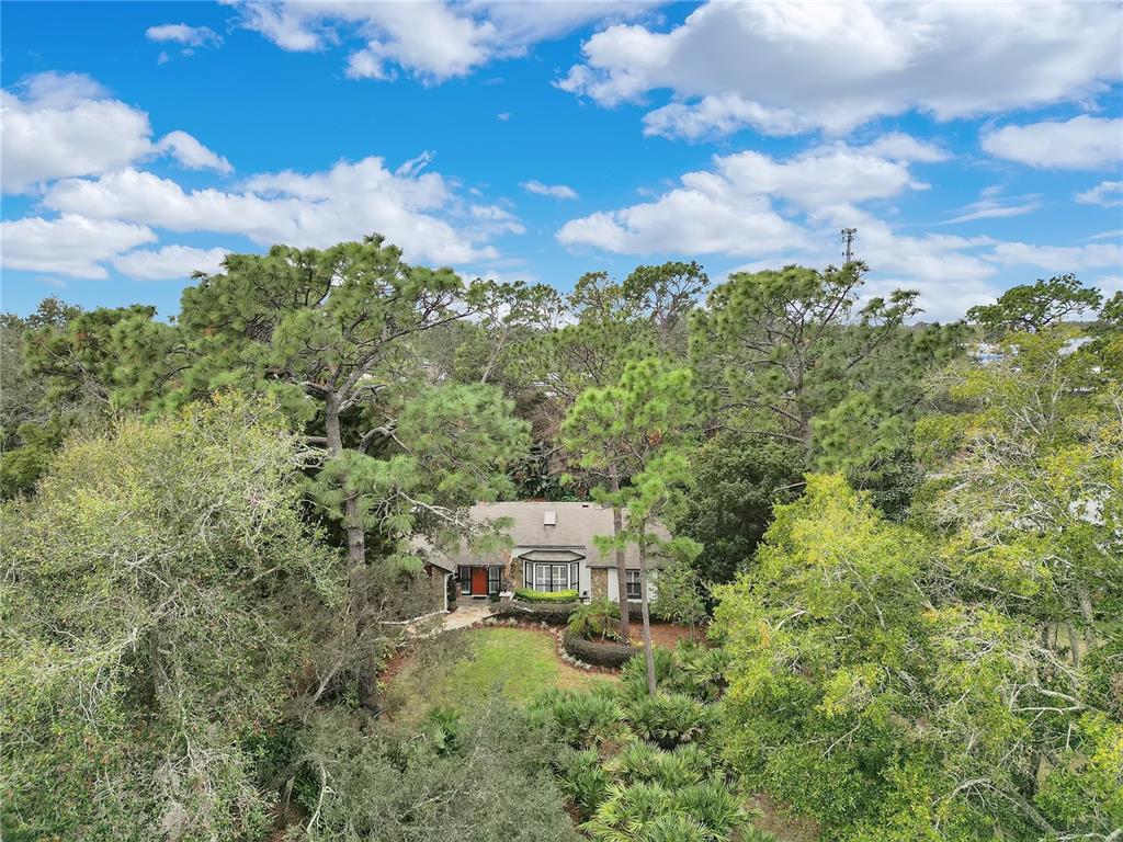 9488 Shortleaf Court Apopka, FL 32703 - Photo 60 of 60