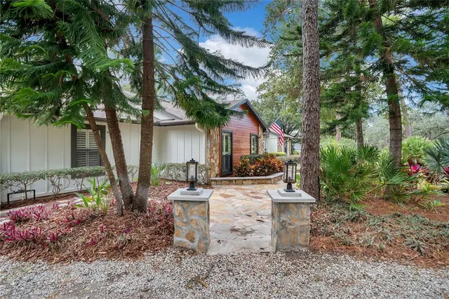 a view of backyard of house