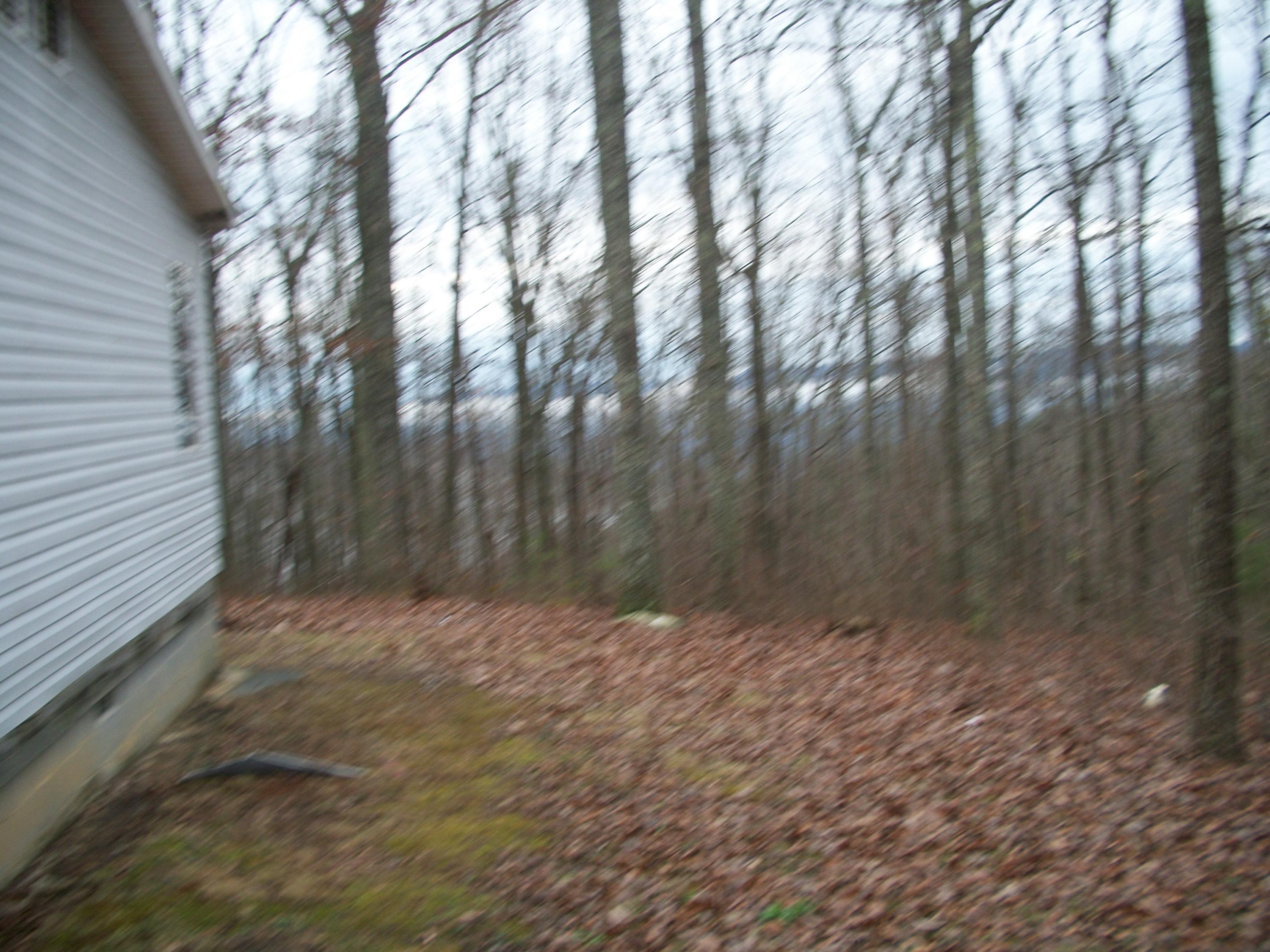 43 Manis Road Dunlap, TN 37327 - Photo 2 of 3 100_7527