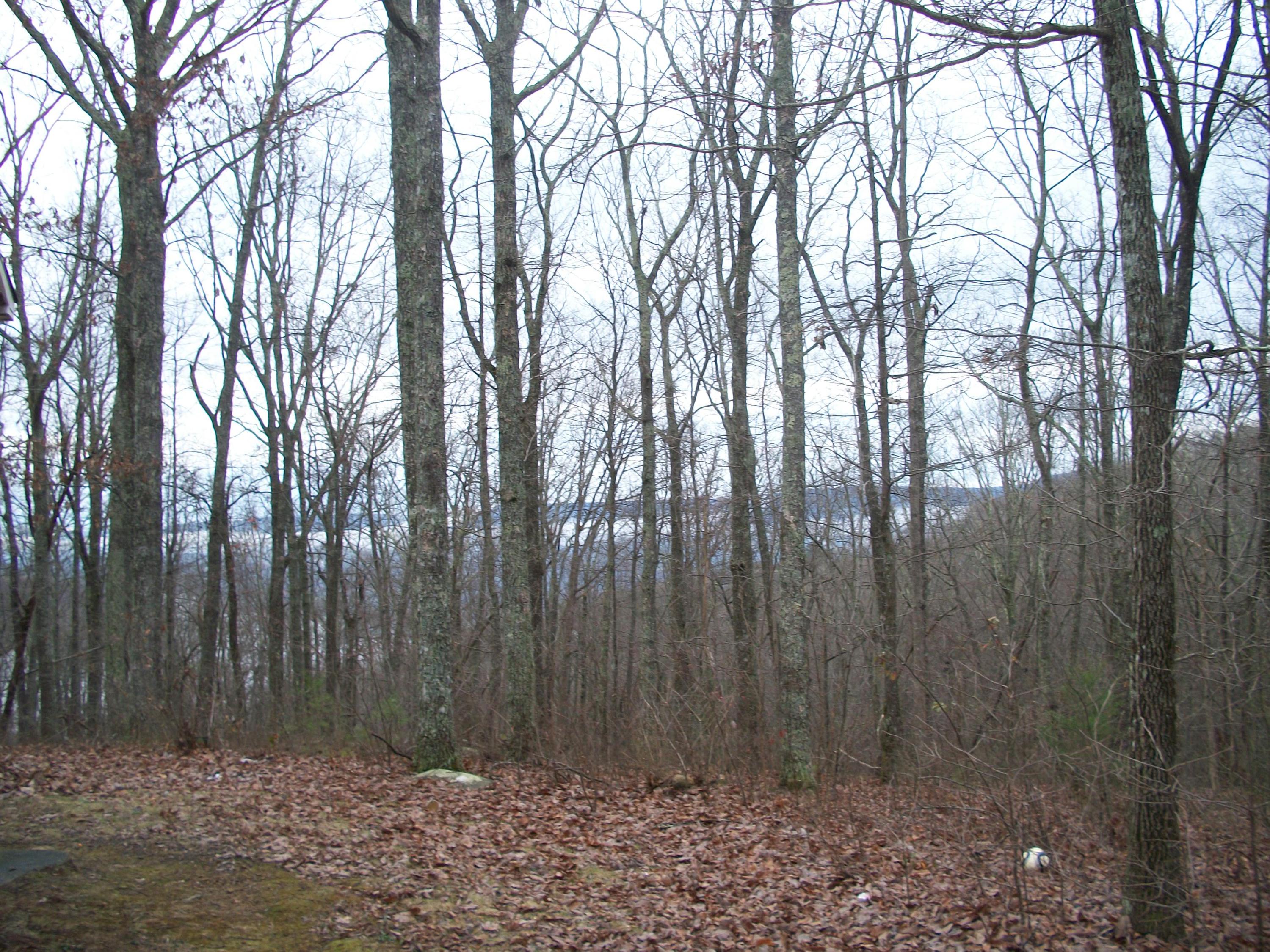 43 Manis Road Dunlap, TN 37327 - Photo 3 of 3 100_7529