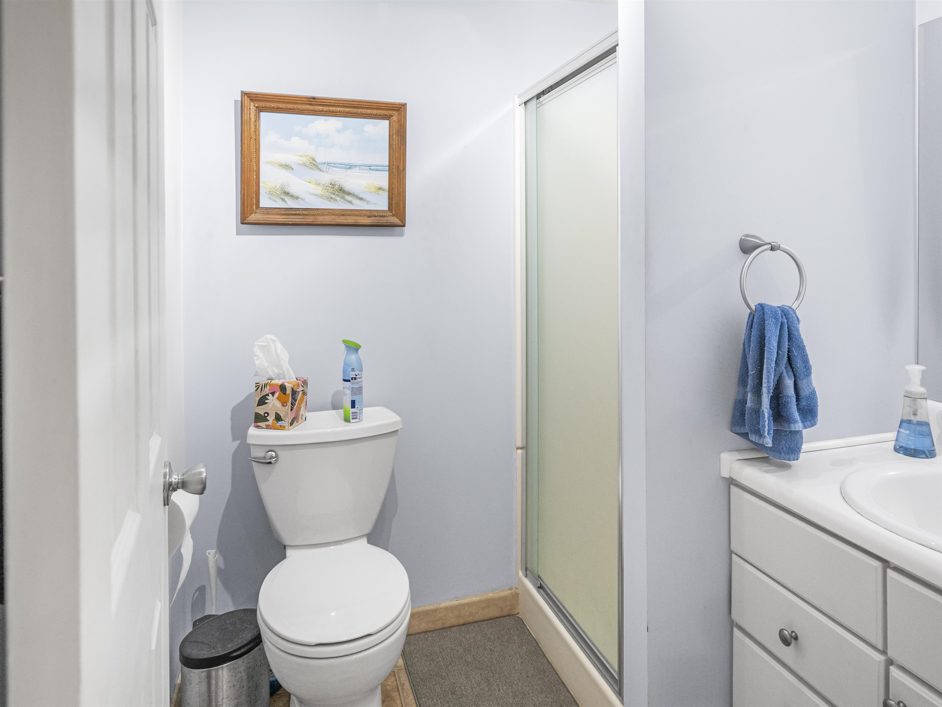 885 Cedar Mountain Road Castleton, VT 05743 - Photo 25 of 39