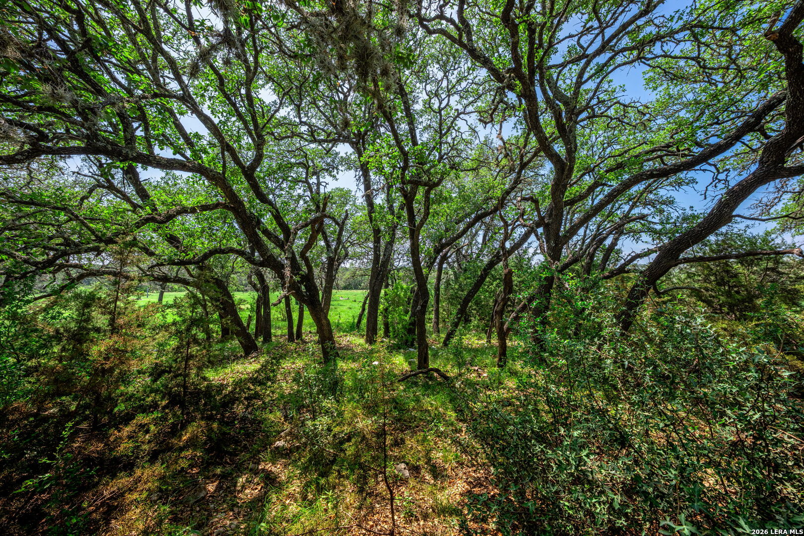 850 SD 24755 Rocksprings, TX 78880 - Photo 14 of 29