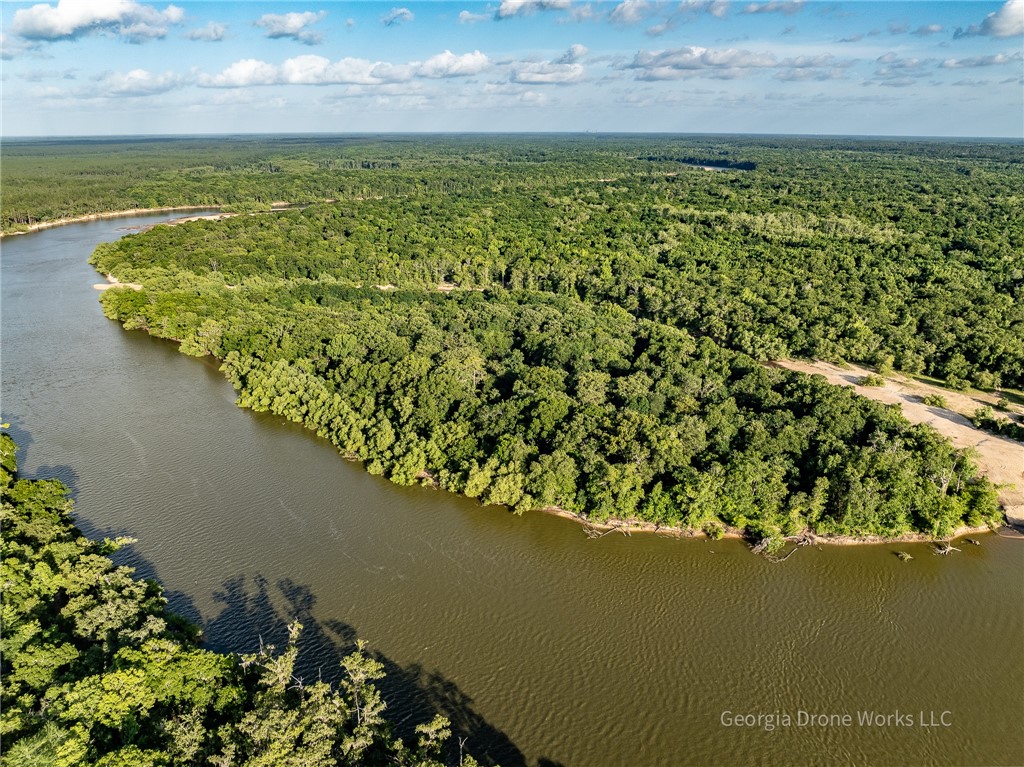 0 Old River Road Jesup, GA 31545 - Photo 2 of 10