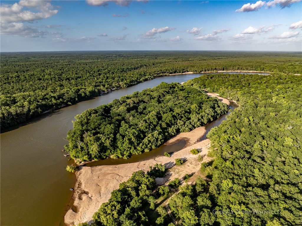 0 Old River Road Jesup, GA 31545 - Photo 5 of 10