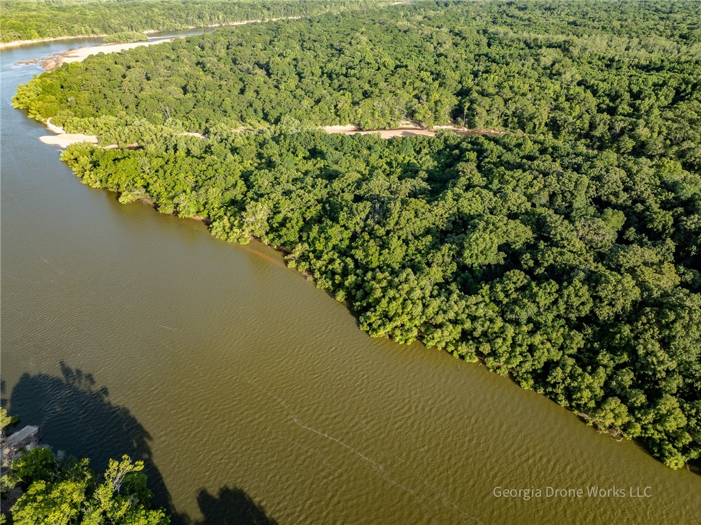 0 Old River Road Jesup, GA 31545 - Photo 8 of 10