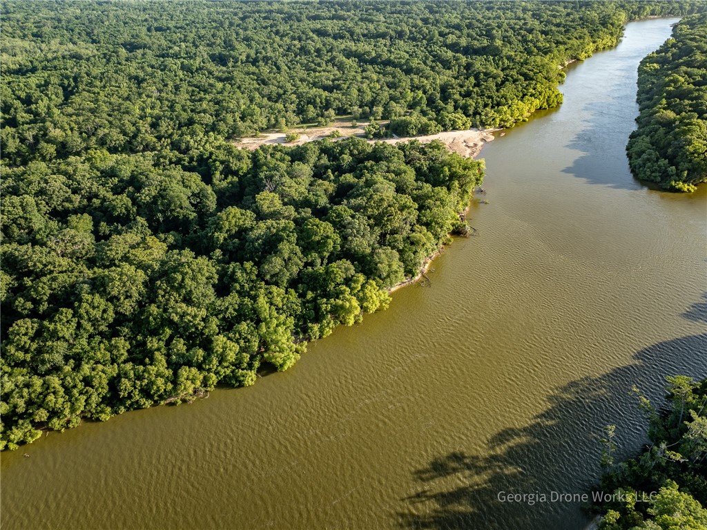 0 Old River Road Jesup, GA 31545 - Photo 9 of 10