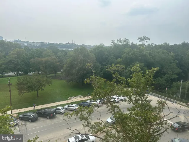a view of a lake in middle of the forest