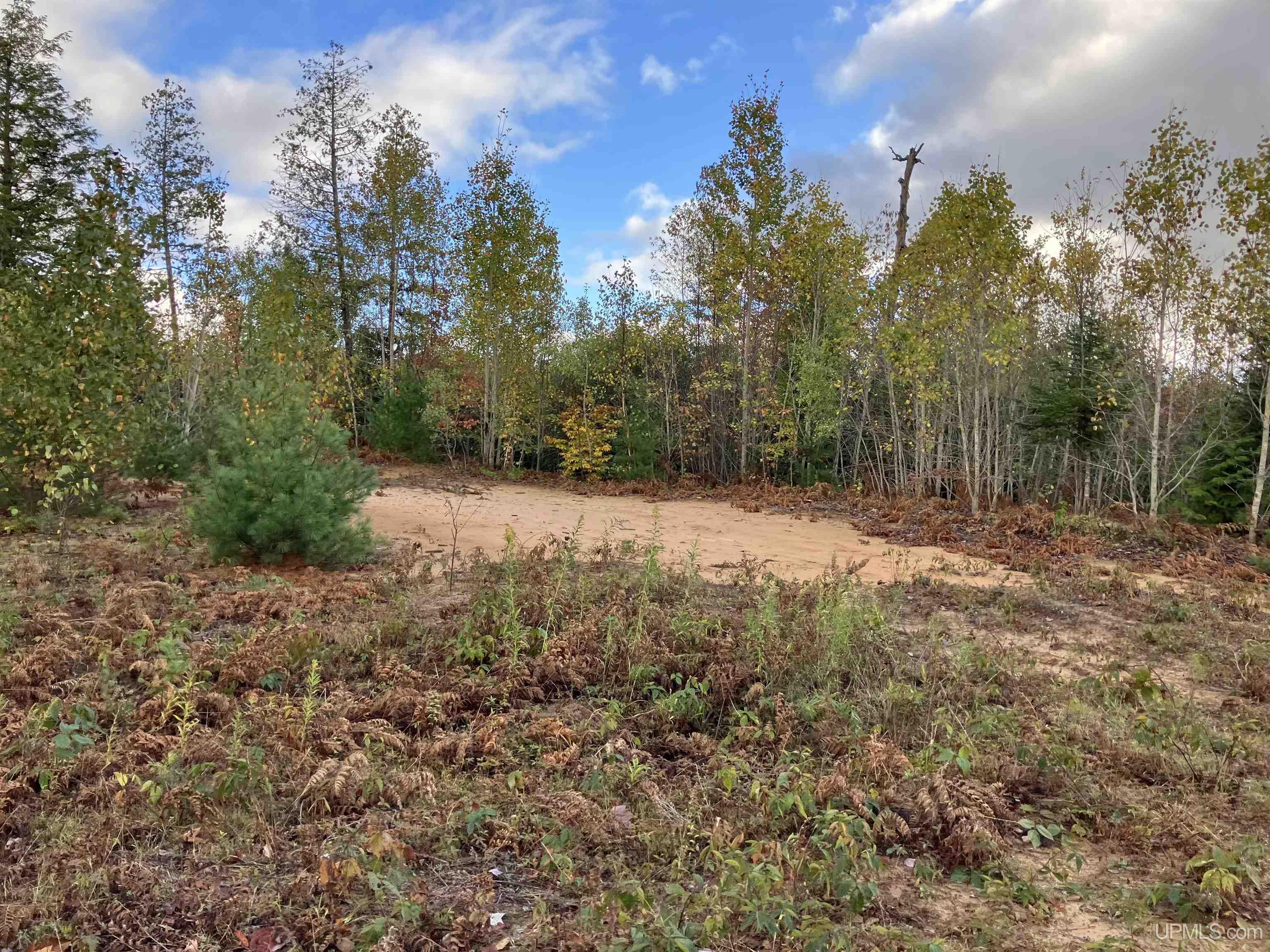 12451 15.5 Road Wetmore, MI 49878 - Photo 7 of 30