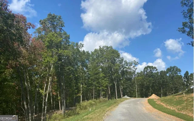 a view of a back yard