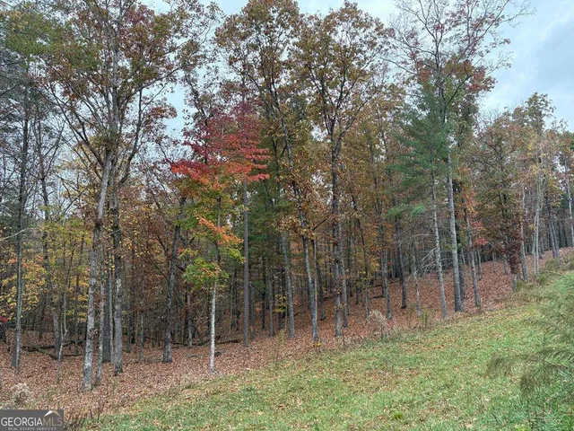 $71,250 | Lot 41 Ridge Drive, Morganton, GA 30560