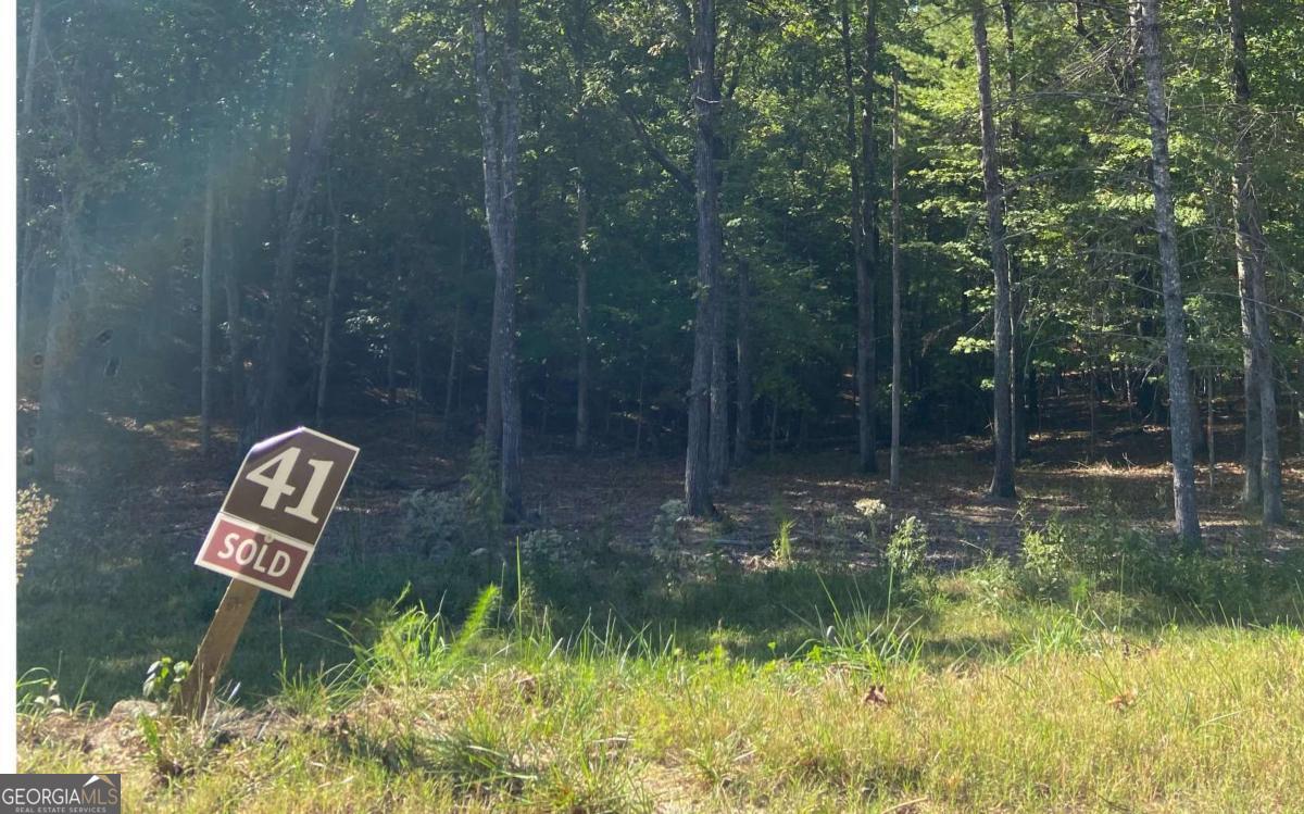 Lot 41 Ridge Drive Morganton, GA 30560 - Photo 7 of 34