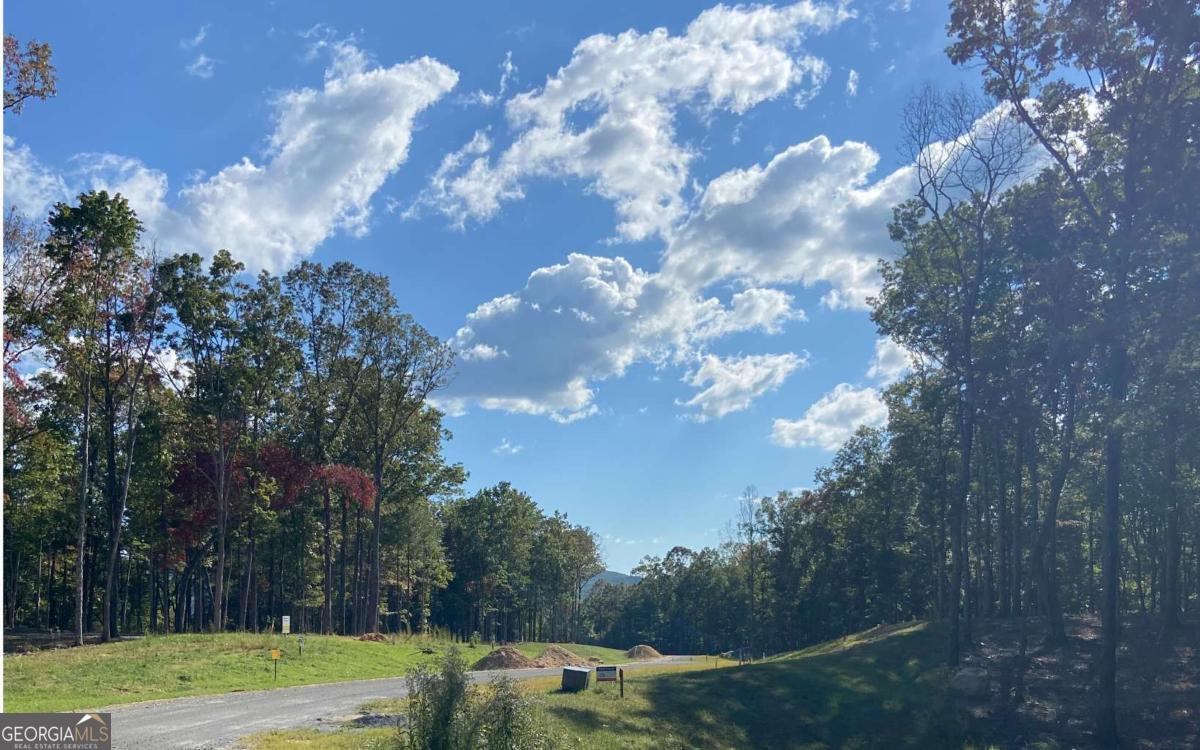 Lot 41 Ridge Drive Morganton, GA 30560 - Photo 8 of 34