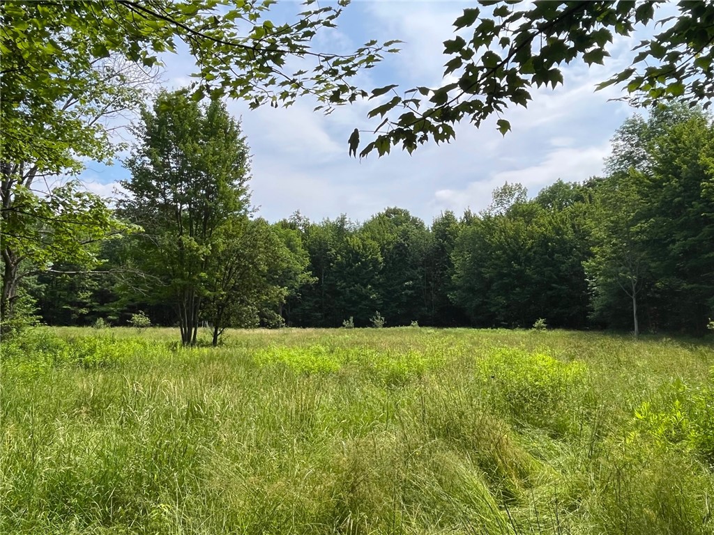 7196 Cloverleaf Road New Hudson, NY 14711 - Photo 38 of 50 Gallery Image 38