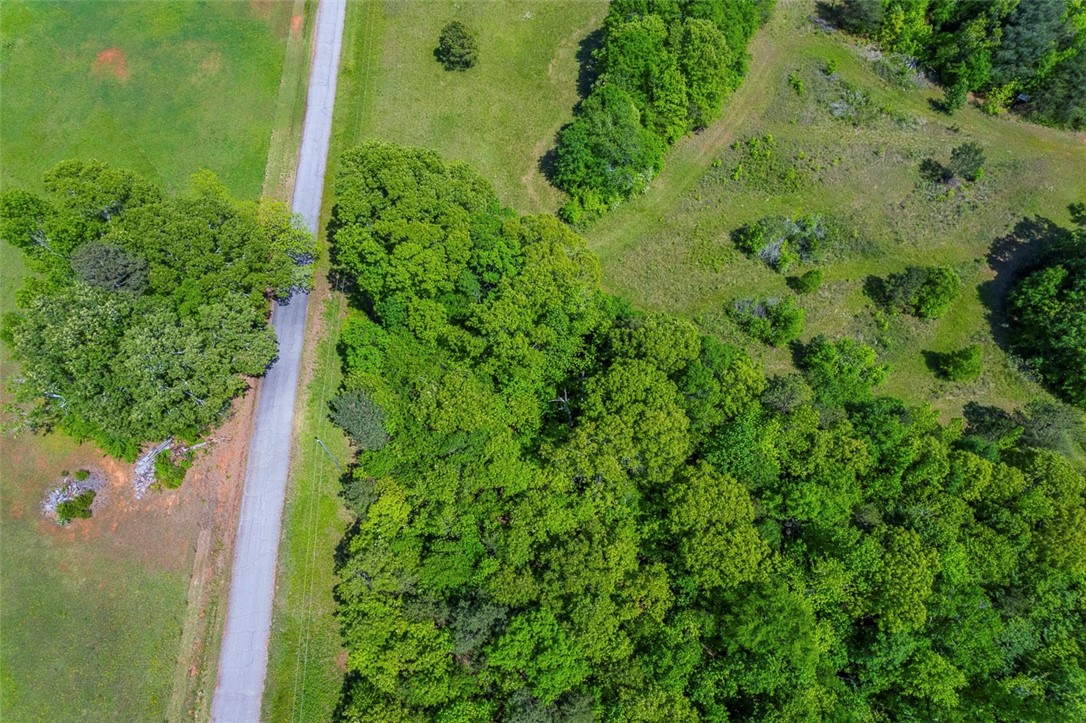 Lot 1 Generostee Church Road Starr, SC 29684 - Photo 15 of 16 Gallery Image 15