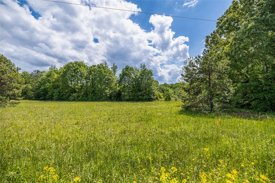 Lot 1 Generostee Church Road Starr, SC 29684 - Photo 3 of 16 Gallery Image 3