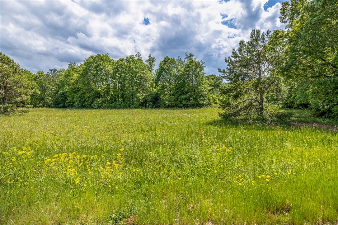 Lot 1 Generostee Church Road Starr, SC 29684 - Photo 5 of 16 Gallery Image 5